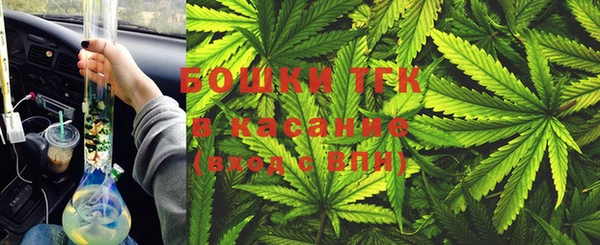 прущие грибы Баксан
