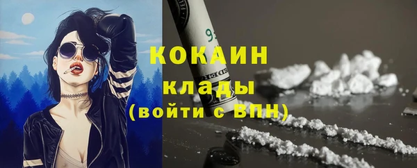прущие грибы Баксан