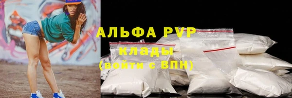прущие грибы Баксан