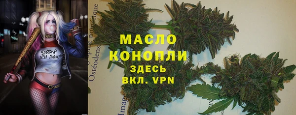 прущие грибы Баксан