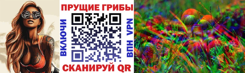 что такое наркотик  Теберда  Псилоцибиновые грибы Magic Shrooms 